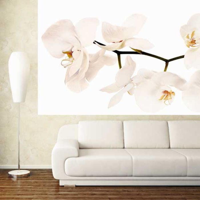 Фотообои "Белая орхидея" 3-А-310 (1 полотно), 440x150 см в компании "Синоптик"